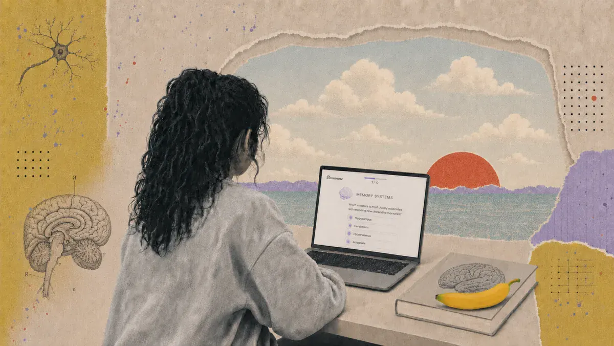 Student reviewing a Bananote quiz on a laptop
